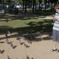 316-4679 Thomas with Pigeons